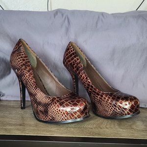 Brown and Gold snake skin wet seals